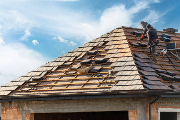 Best Solar Panel Roofing Installation  in Westminster, TX